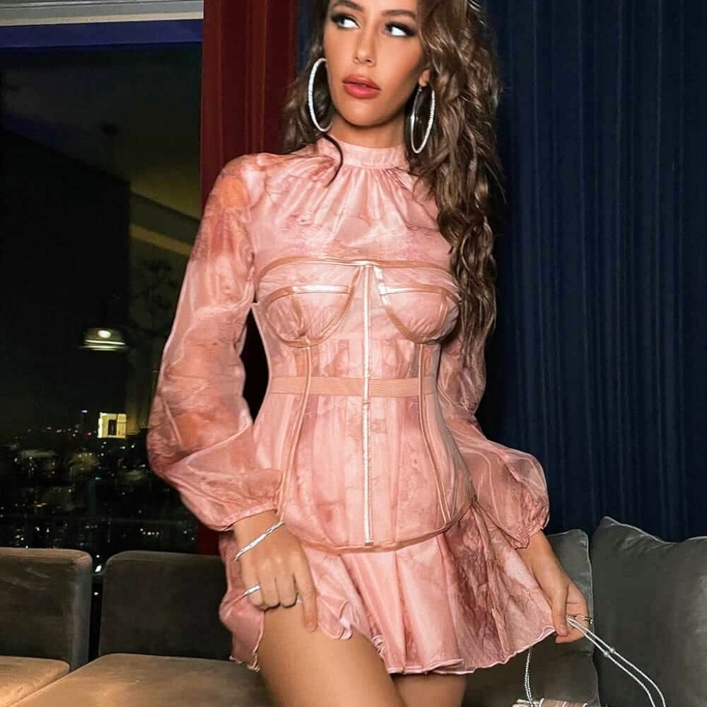 Rose Pink Sheer Corset Mini Dress